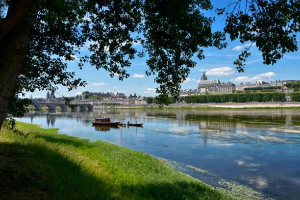 Au Coeur De Blois Exterior foto